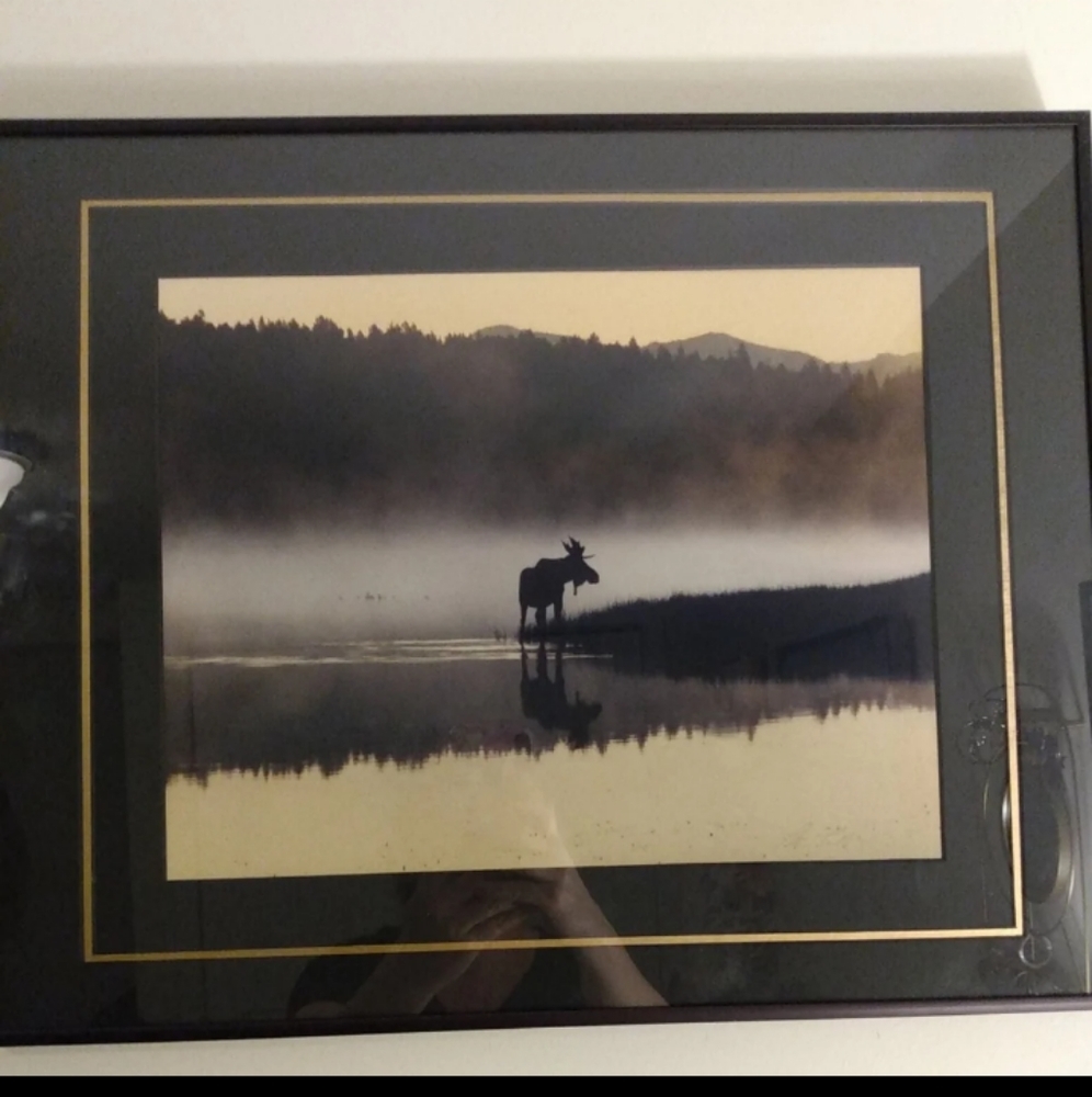 Moose In The Mist" Signed Framed And Matted Pat Toth- Smith
